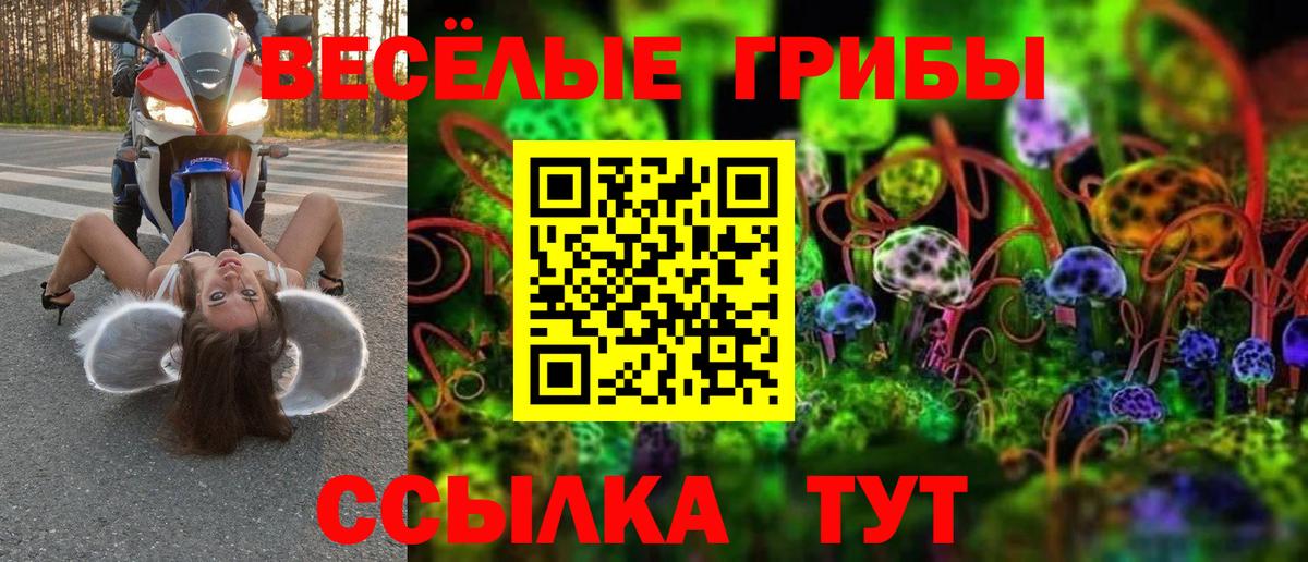 Киров  Галлюциногенные грибы GOLDEN TEACHER  Вход с VPN 